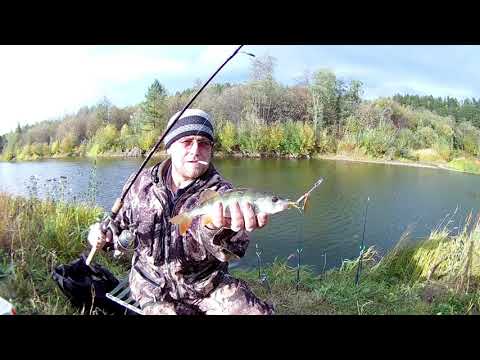 Видео: Осенняя рыбалка на реке Тура. Свердловская область./Autumn fishing on the Tura river.