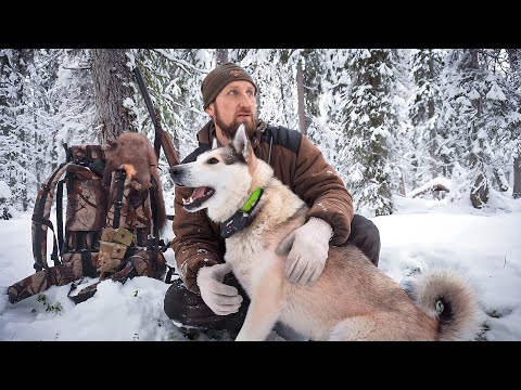 Видео: ЖИВУ В ИЗБЕ. ДОБЫЛ УЖИН ПРЯМО ПОД ОКНОМ. ПРОМЫСЕЛ.