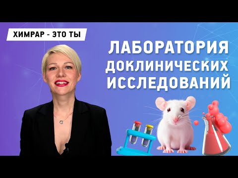 Видео: Научный сотрудник в лаборатории доклинических исследований | "ХимРар"