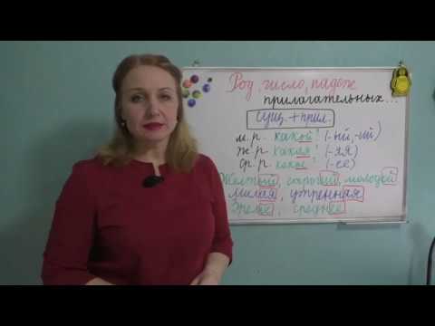 Видео: РОД, ЧИСЛО, ПАДЕЖ ПРИЛАГАТЕЛЬНОГО//СВЯЗЬ С СУЩЕСТВИТЕЛЬНЫМ