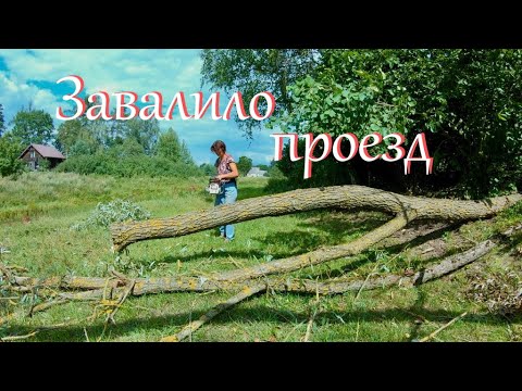 Видео: Новости  хутора. Опять сено.