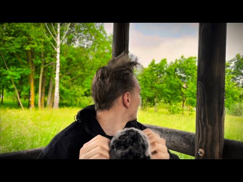 Видео: Асмр в беседке