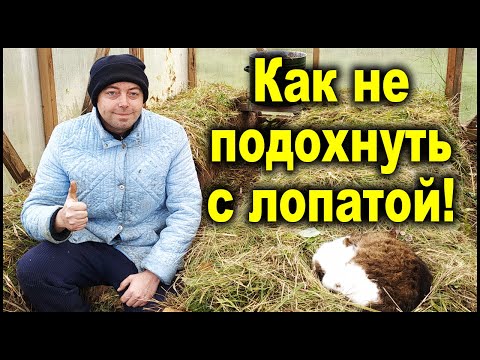Видео: Органические гряды больше не копаю! Есть лучше способ!