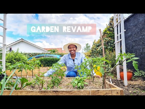 Видео: Новый старт: преображение сада и полный тур.