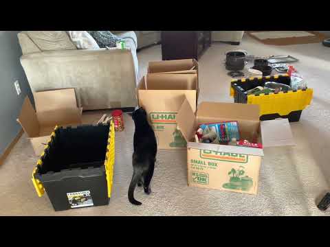 Видео: Расхламление… Плюшкиным посвящается.. 😉