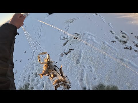 Видео: ПОПАЛИ НА ХОД!!! ХАПУГА ПОЛНАЯ РЫБЫ НЕ ЛЕЗЕТ В ЛУНКУ!!! ДАВНО Я ТАК НЕ РЫБАЧИЛ!!!