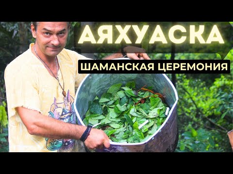 Видео: Шаманская церемония Аяхуаска. Амазонка.