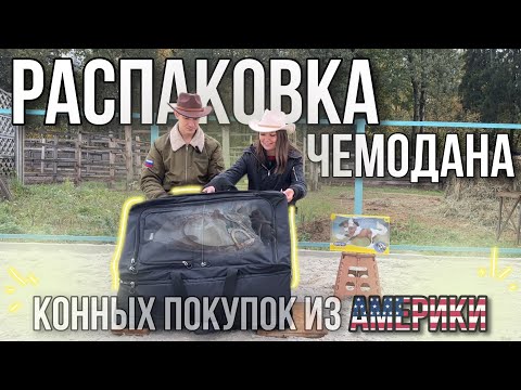 Видео: ПОТРАТИЛИ 150 000 РУБ?! | Конная распаковка