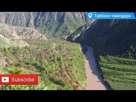 Видео: бехтари газал гушкуне пушаймон на мешен🤲🤲