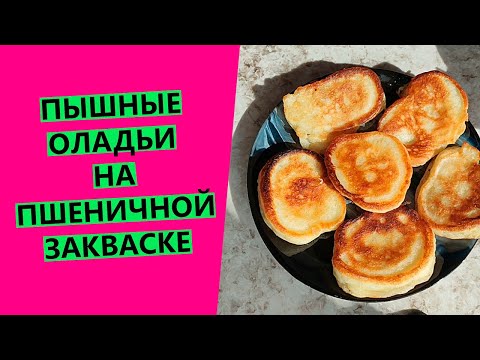 Видео: ПЫШНЫЕ ОЛАДЬИ😋🤩 на пшеничной закваске!