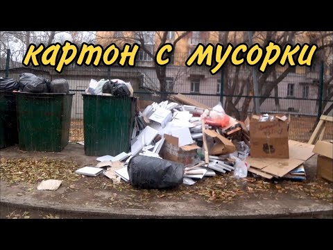 Видео: Картон наше всё! Собираю и сдаю картоний!