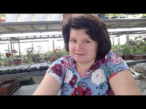 Видео: Посылки и отзывы. Интересный случай!