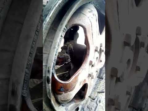 Видео: звёзды и ленивцы прошли проверку пока всё работает.