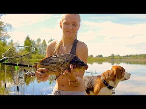 Видео: Рыбалка на Закидушки(Донки) с Ночёвкой.Полный Кайф! Карась.Карп.Семейный правильный отдых.