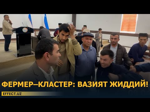 Видео: ДЕНОВЛИК ФЕРМЕРЛАРГА "ЙЎҚ" ДЕГАН КЛАСТЕР ТАРСАКИ ЕДИ – EFFECT.UZ