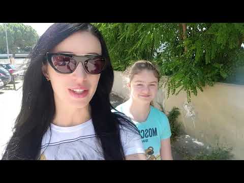 Видео: Норвежский лесной кот! Наконец-то он с нами!!! Это любовь с первого взгляда!😍