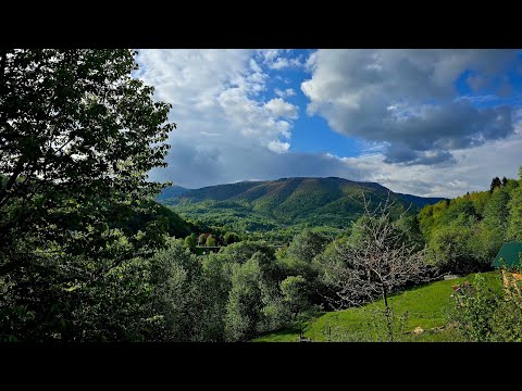 Видео: Мальовниче Закарпаття❤️ чарівні Кваси❤️ Гори,що закохують 13.05. 2025.