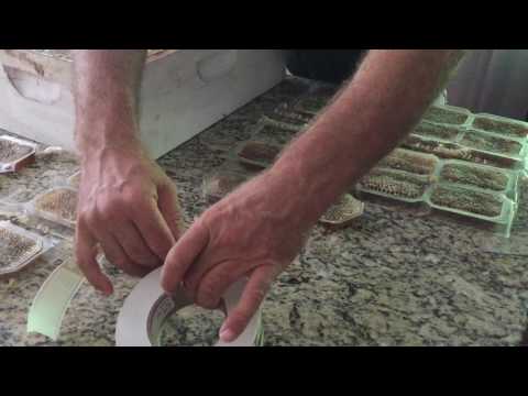 Видео: Сотовый мёд в индивидуальной упаковке