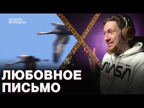Видео: НЮБЕРГ слушает Schokk - Журавли