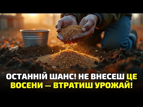 Видео: Не роби цього восени! 90% городників втрачають урожай через одну помилку з добривами!