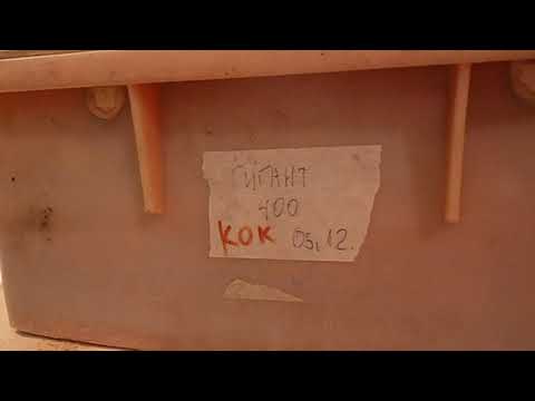 Видео: Первое поколение ювенилов от червей-гигантов