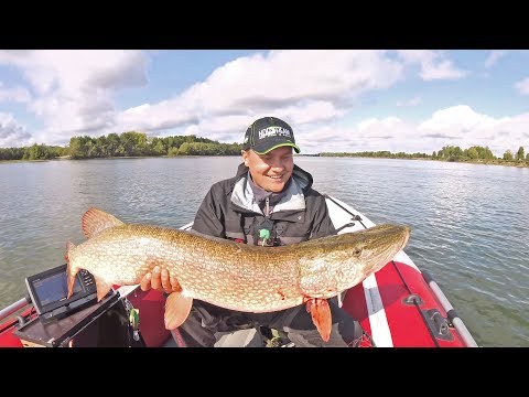 Видео: РАБОЧИЕ ДЖИГ ПРИМАНКИ сезона 2019 - Часть 1 / крупные и средние