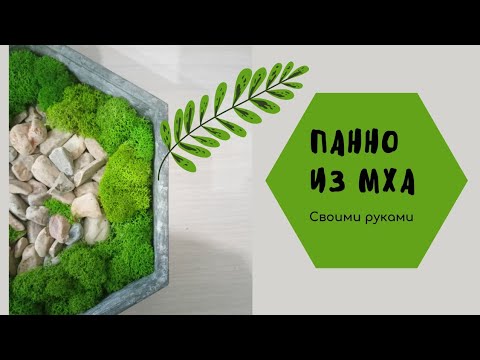 Видео: Декоративное панно. Переделка Фикс прайс. Стабилизированный мох в интерьере. DIY