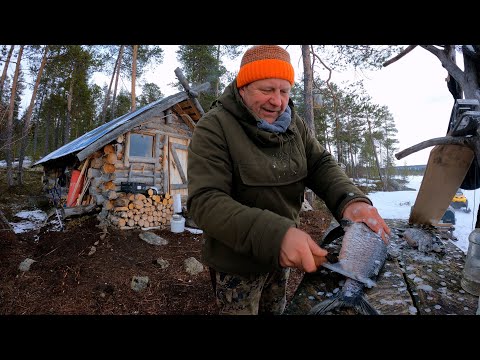 Видео: Вместо медведя глухари, с лайкой по насту, рыбалка, завёз лодку...