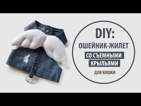 Видео: DIY: Джинсовый ошейник-жилет со съемными крыльями для кошки | Tutorial Jeans recycle