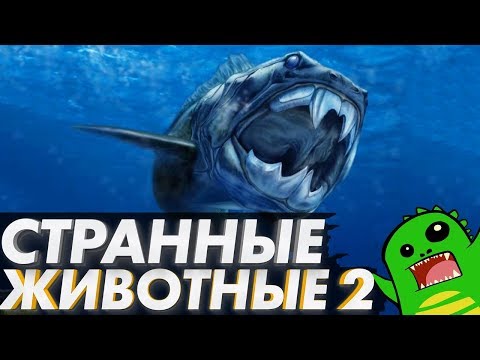 Видео: Странные ВЫМЕРШИЕ животные