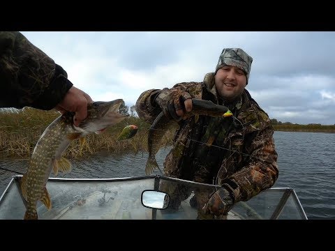 Видео: ЩУКА  и  ВОБЛЕР.  Ловим рыбу с сыном.