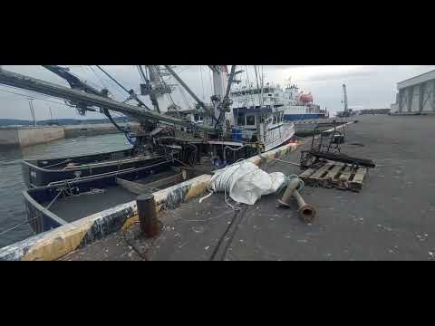 Видео: Итуруп