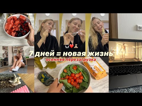 Видео: ОСЕННЯЯ ПЕРЕЗАГРУЗКА 🎧❤️🧘🏼 // новые полезные привычки, тренировки, питание