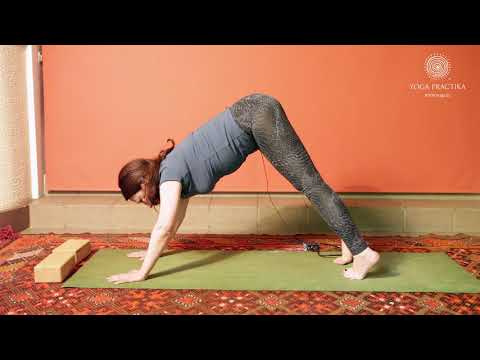Видео: Азбука Йоги (Урок 3 - Адхо Мукха Шванасана)