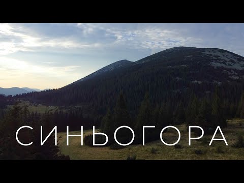 Видео: Синьогора