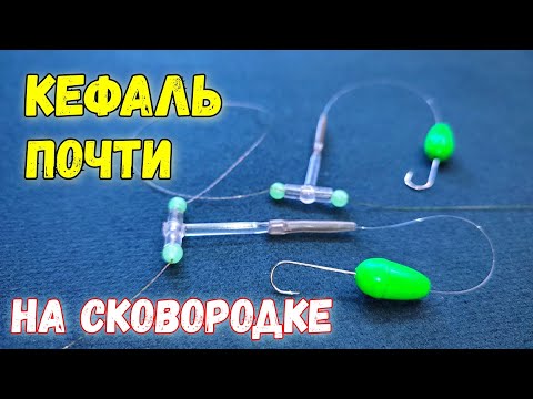 Видео: Лучшая снасть на кефаль: 100% рабочий способ ловли активной кефали