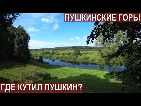Видео: ПУШКИНСКИЕ ГОРЫ- ЧАСТЬ2/БАНЯ С КОМАРАМИ ДЛЯ ПУШКИНА