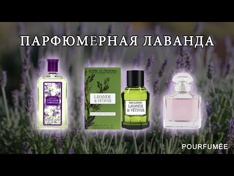 Видео: Lavander & Vetiver JEANNE EN PROVENCE | Mon Guerlain | Valentino Uomo | Русская лаванда Новая Заря