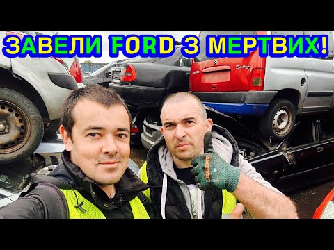 Видео: 🇵🇱 ШОК! ТАК ПОМИРАЮТЬ АВТО В ПОЛЬЩІ 💀 А МИ ЗАВЕЛИ ФОРДА З МЕРТВИХ! 🚗⚡️