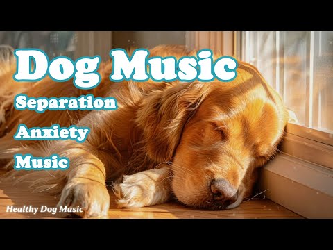 Видео: Музыка для собак: 🐶🎵 Нежные песни для улучшения сна и лечения депрессии!