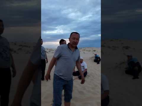 Видео: 20 жылдык каракум