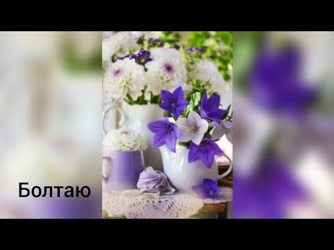 Видео: у меня на кухне.