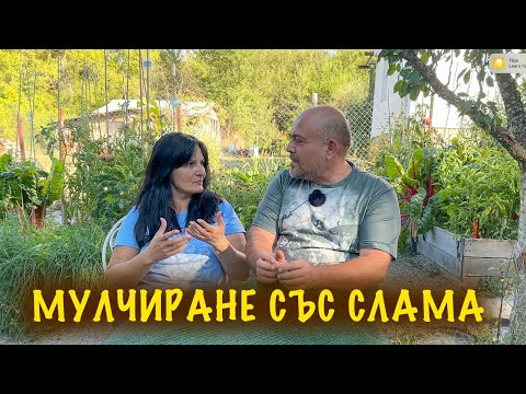 Видео: Мулчиране със слама в градината - плюсове и минуси.