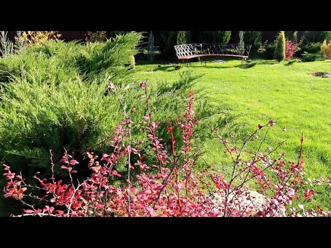 Видео: САМА ВИНОВАТА, НО ХОЧУ ПОЖАЛОВАТЬСЯ. 28.10.2025г.