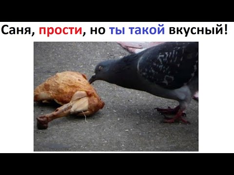 Видео: Лютые приколы. Саня, прости, но ты такой вкусный!