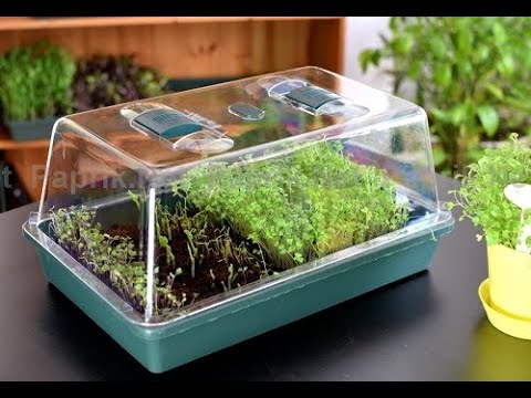 Видео: STEM оқыту әдісі барысында жылыжай жасау.