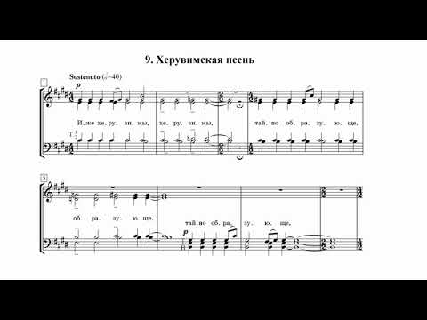 Видео: М. Шух Херувимская песнь