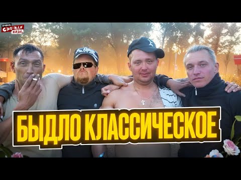 Видео: Быдло классическое: Пьяное Быдло, Гопники, марамои и неадекваты в такси, на дороге и на улице.