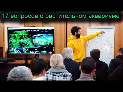 Видео: 17 вопросов о растительном аквариуме