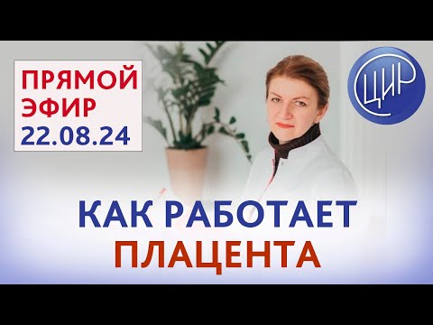 Видео: Как работает плацента, что может помешать и как это исправить? Прямой эфир с Дементьевой С. Н.